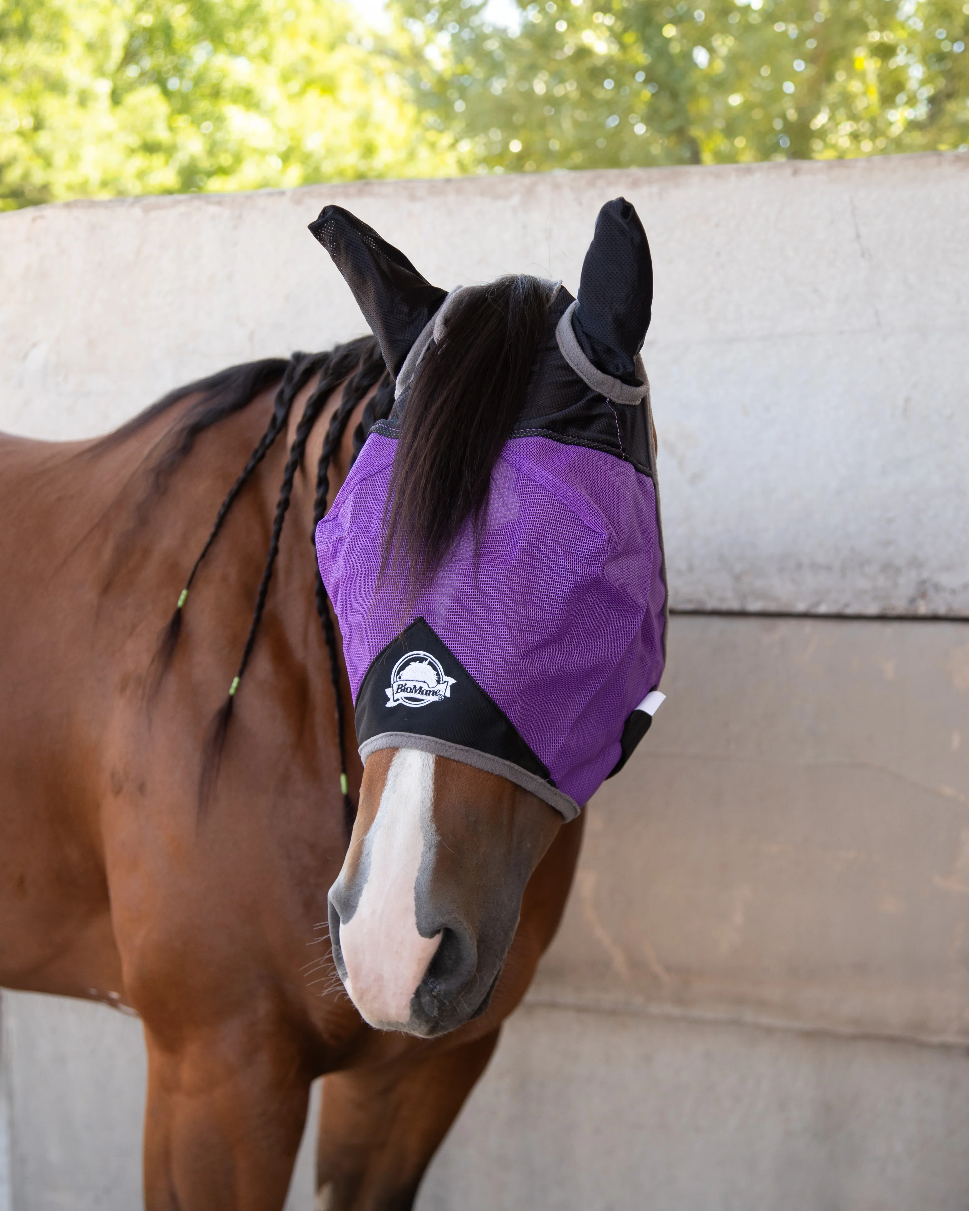 Fly Mask - Image 11
