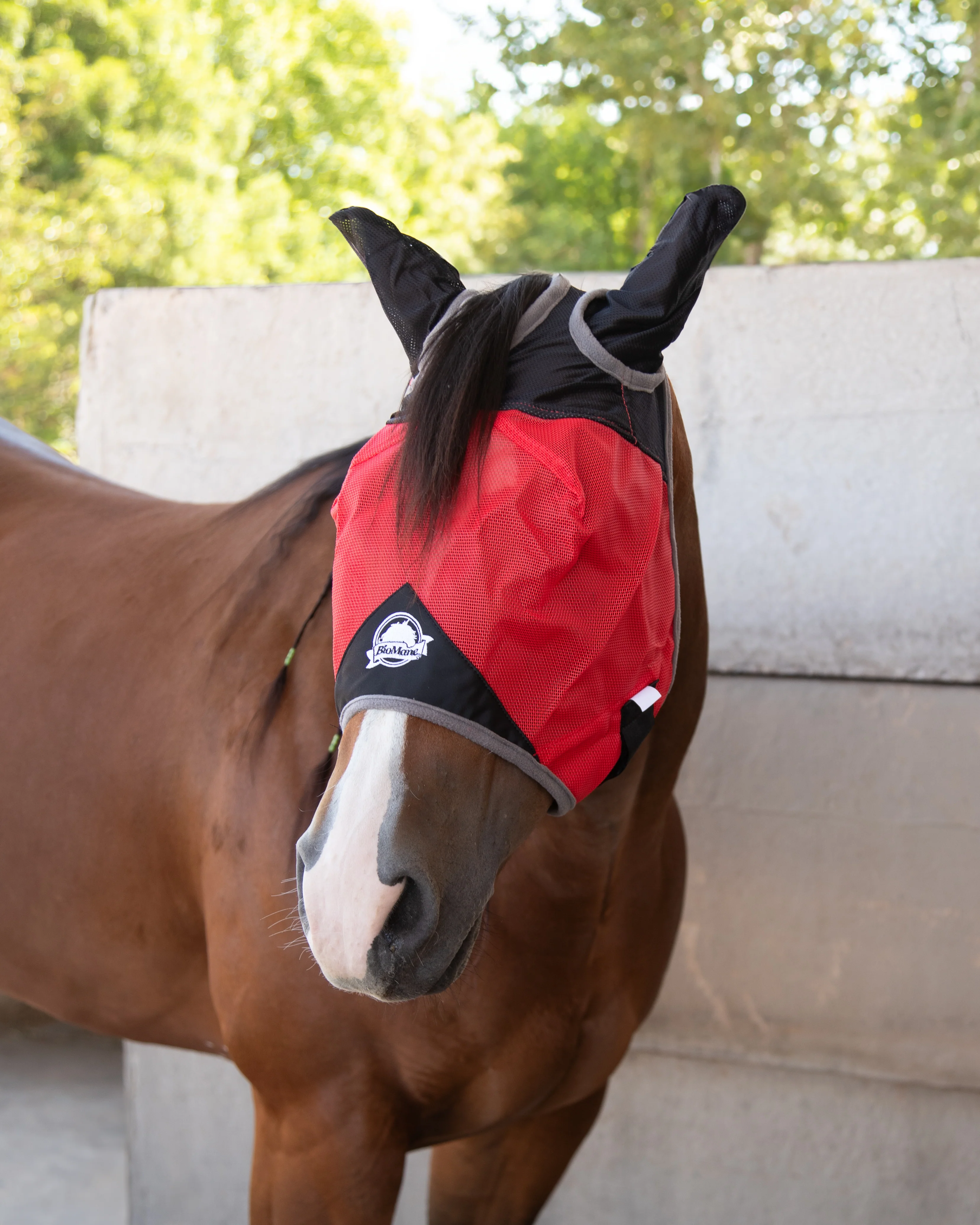 Fly Mask - Image 12