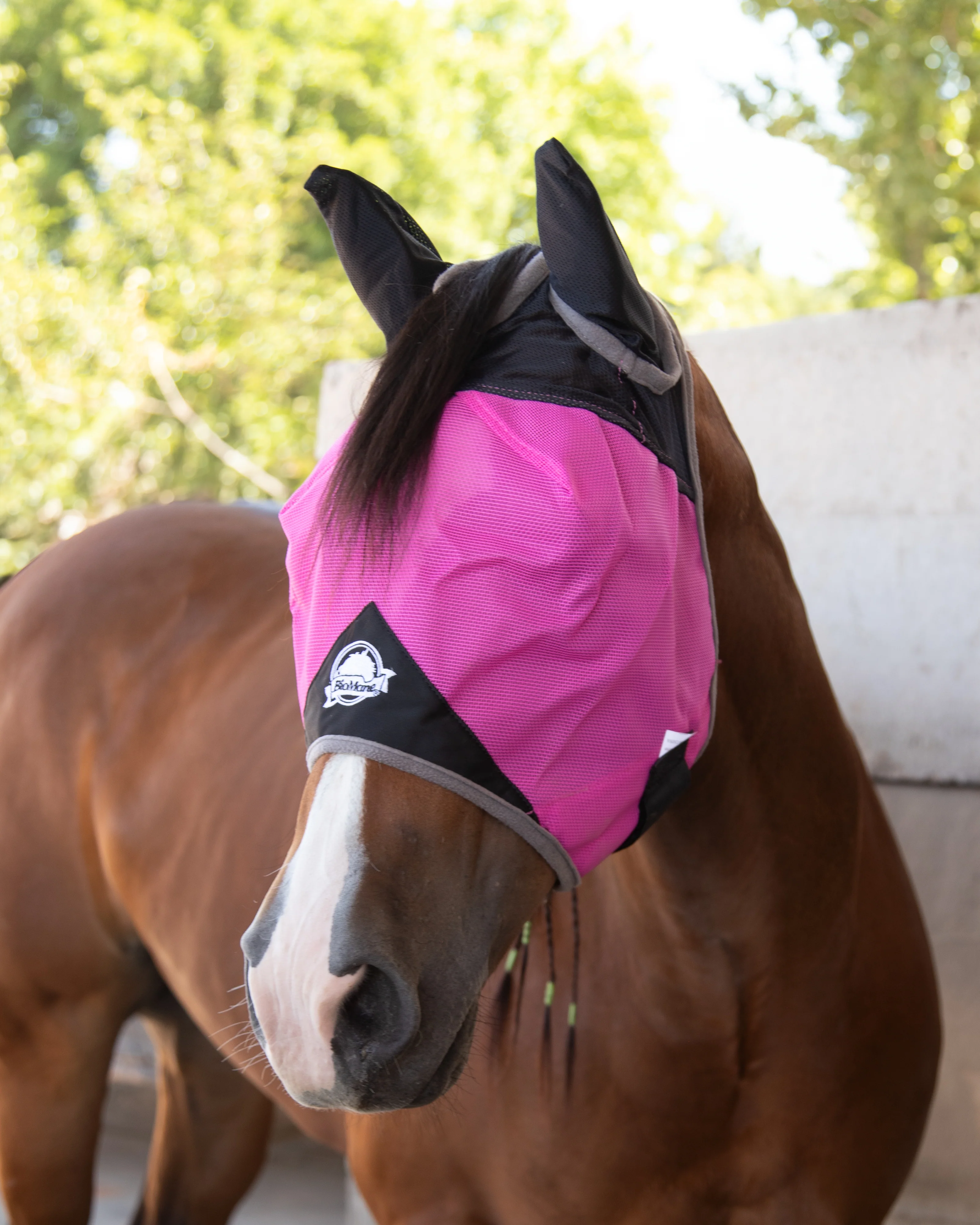 Fly Mask - Image 3