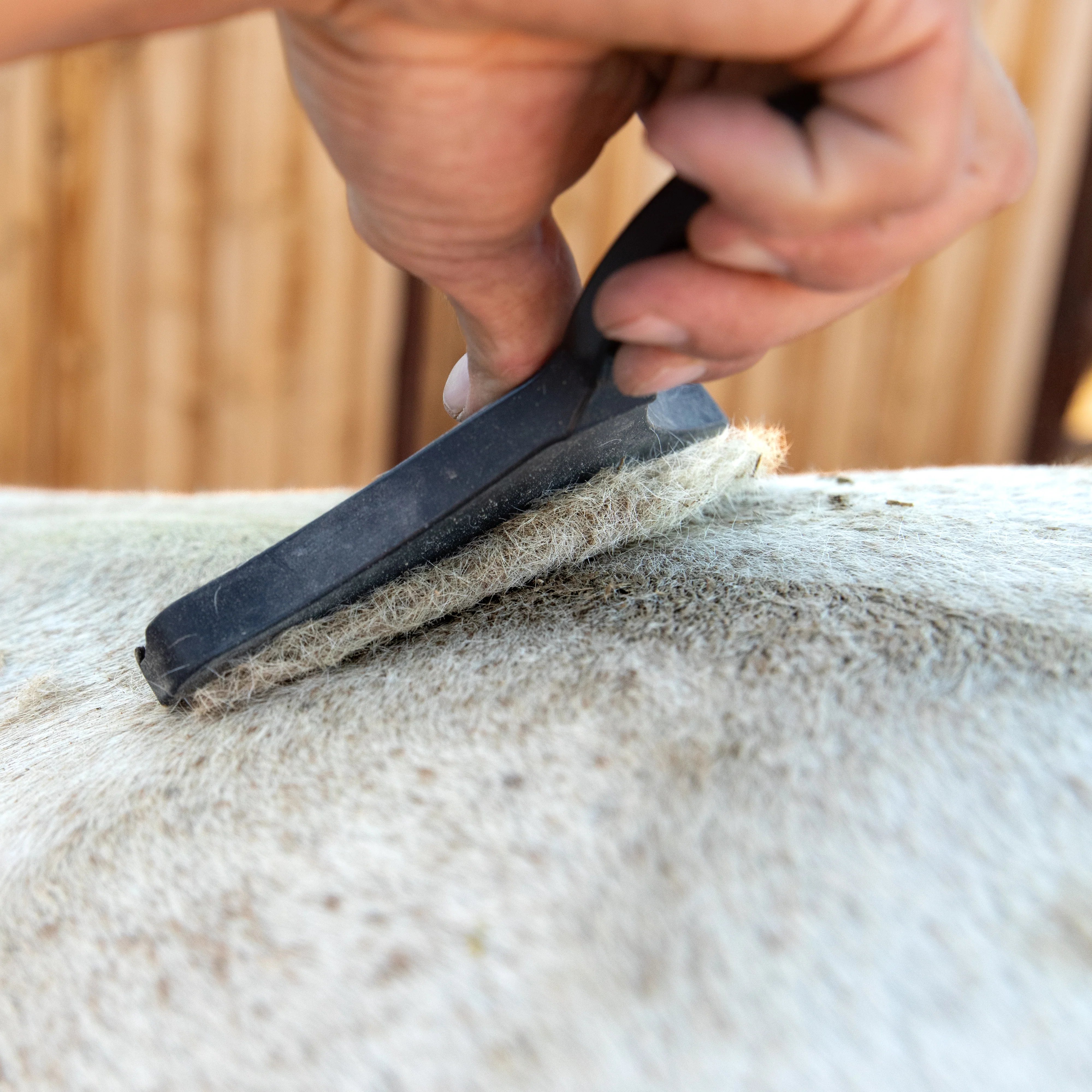 Grooming Tool - Image 3